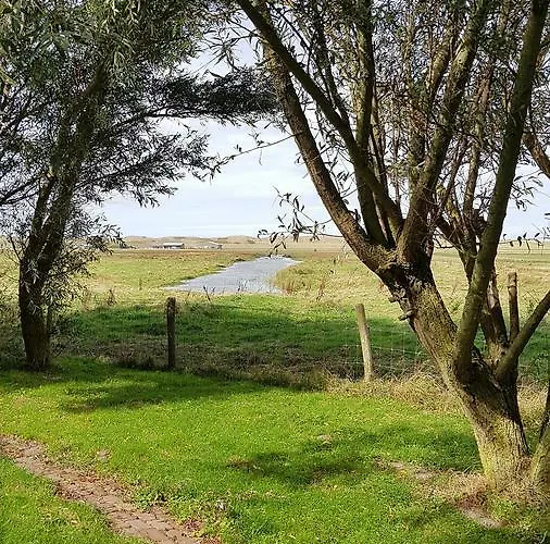 Zwaan\'S Place